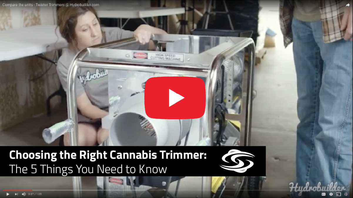 Choosing the Right Cannabis Trimmer: 5 Things You Need to Know